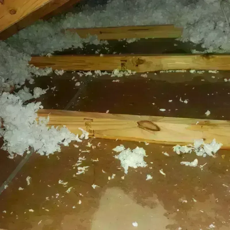 Attic Water Damage in Johnson County, GA