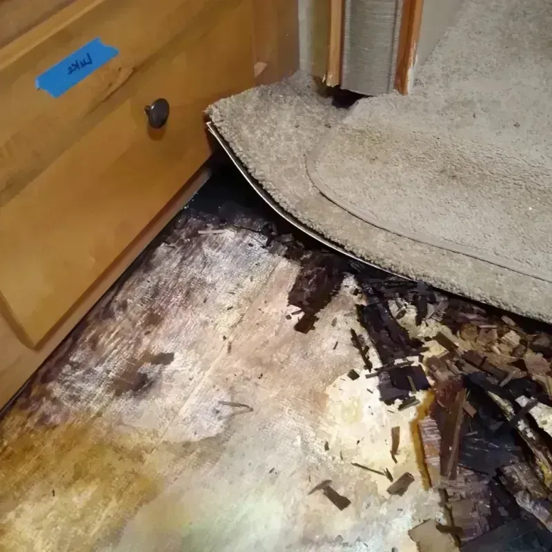 Wood Floor Water Damage in Johnson County, GA